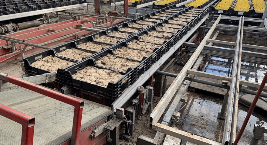 Caso prático de cultivo de tulipas: redução dos custos de manutenção com os lubrificantes especializados da Eurol.