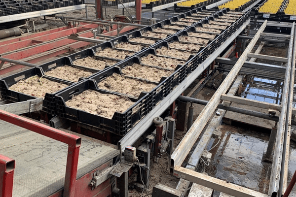 Caso práctico de cultivo de tulipanes: reducción de costos de mantenimiento con lubricantes especializados de Eurol Specialty.
