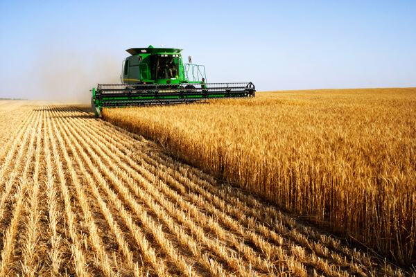 Agricultural Sector Lubricants: Motor Oil and Greases