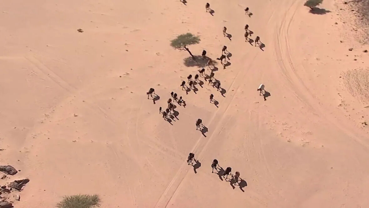 Dakar-Rally-2022_stage-3.jpg